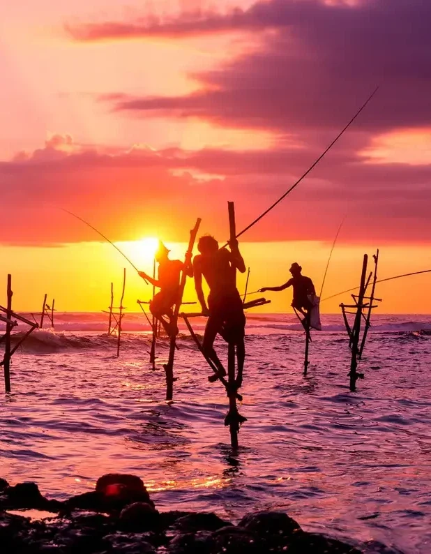 Traditional stilt fisherman in Sri Lanka